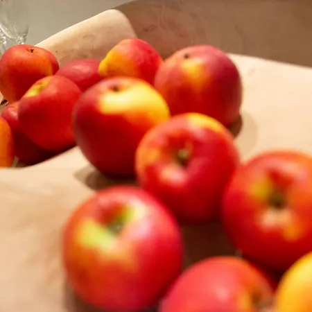 Garni Waldschloessl 4* אישגל