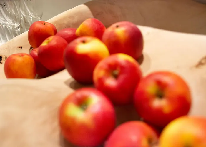 Garni Waldschloessl 4* Ischgl